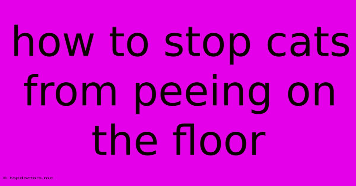 How To Stop Cats From Peeing On The Floor How To Stop Cats From Peeing On The Floor