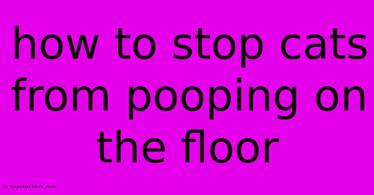 How To Stop Cats From Pooping On The Floor
