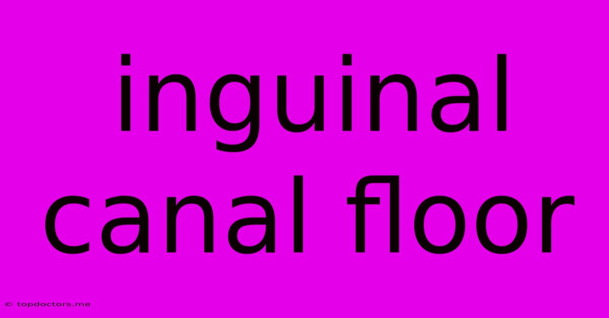 Inguinal Canal Floor Inguinal Canal Floor