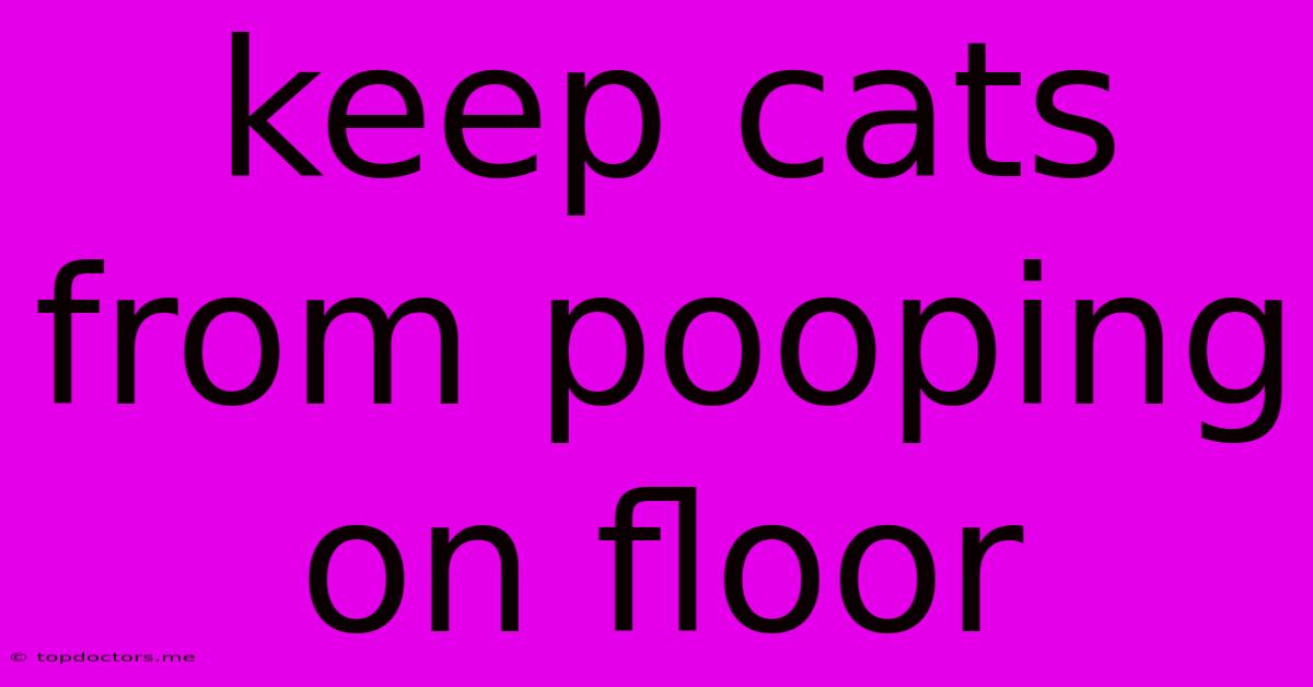 Keep Cats From Pooping On Floor Keep Cats From Pooping On Floor