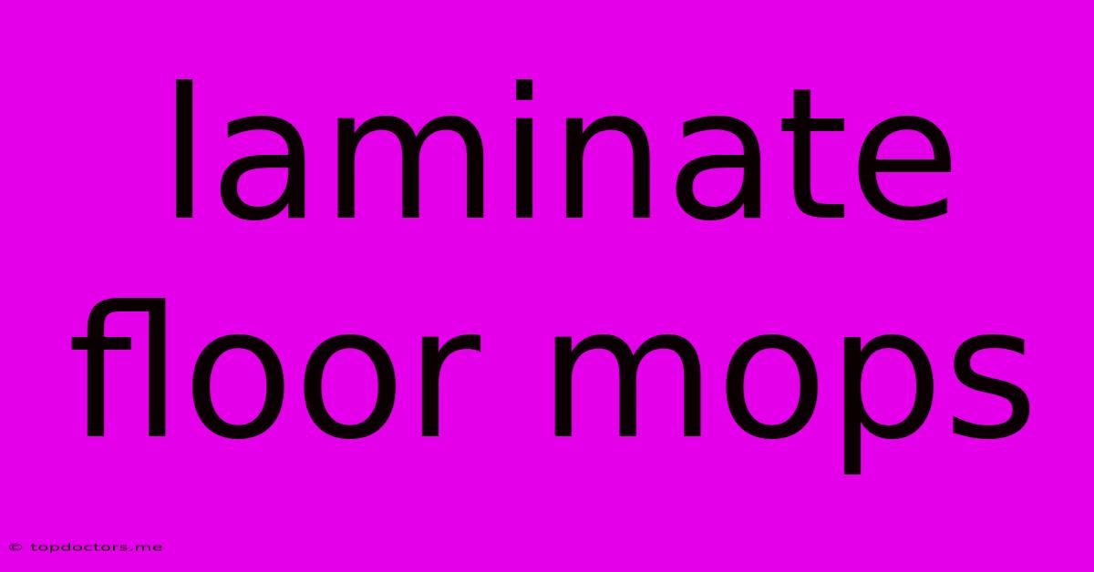 Laminate Floor Mops