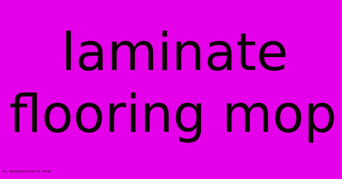 Laminate Flooring Mop