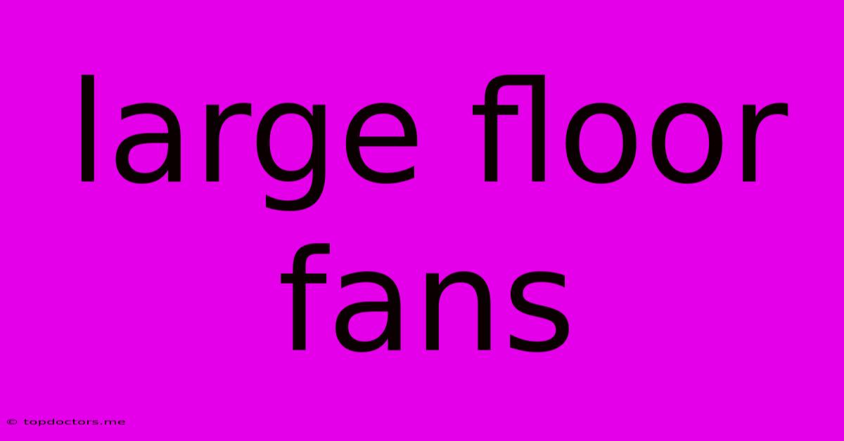 Large Floor Fans