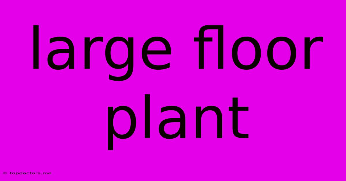 Large Floor Plant