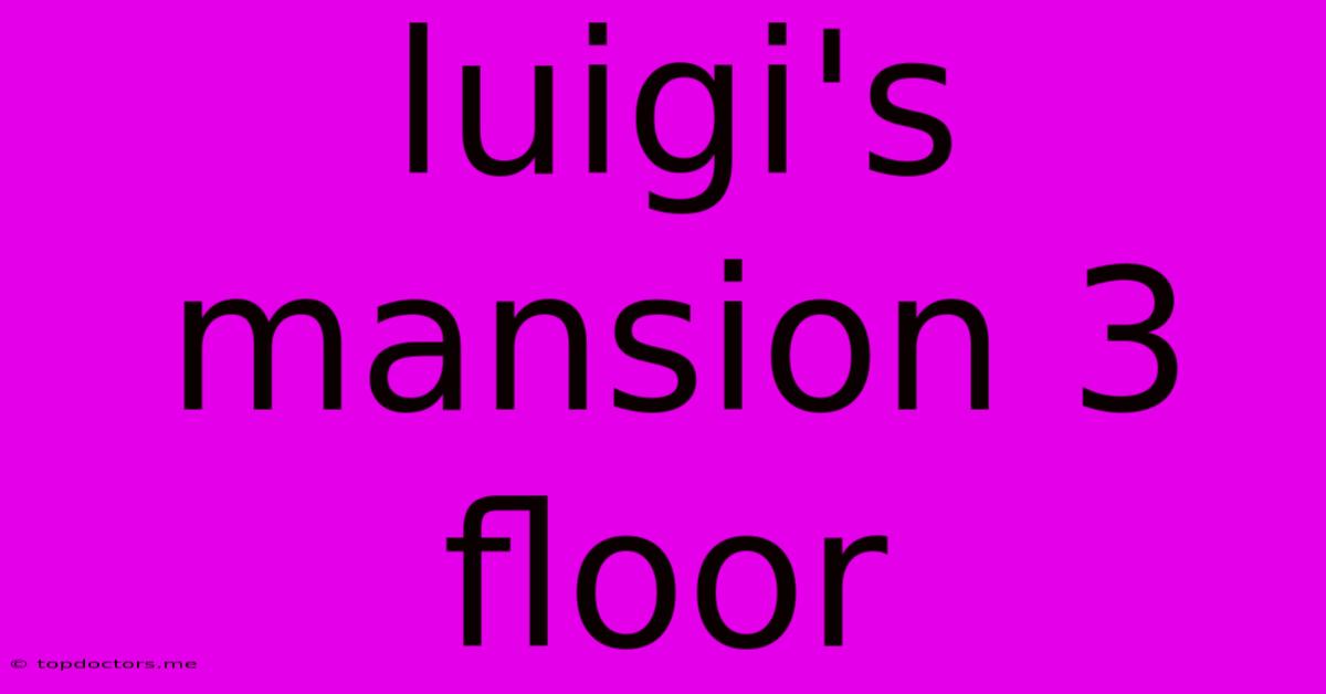 Luigi's Mansion 3 Floor Luigi's Mansion 3 Floor
