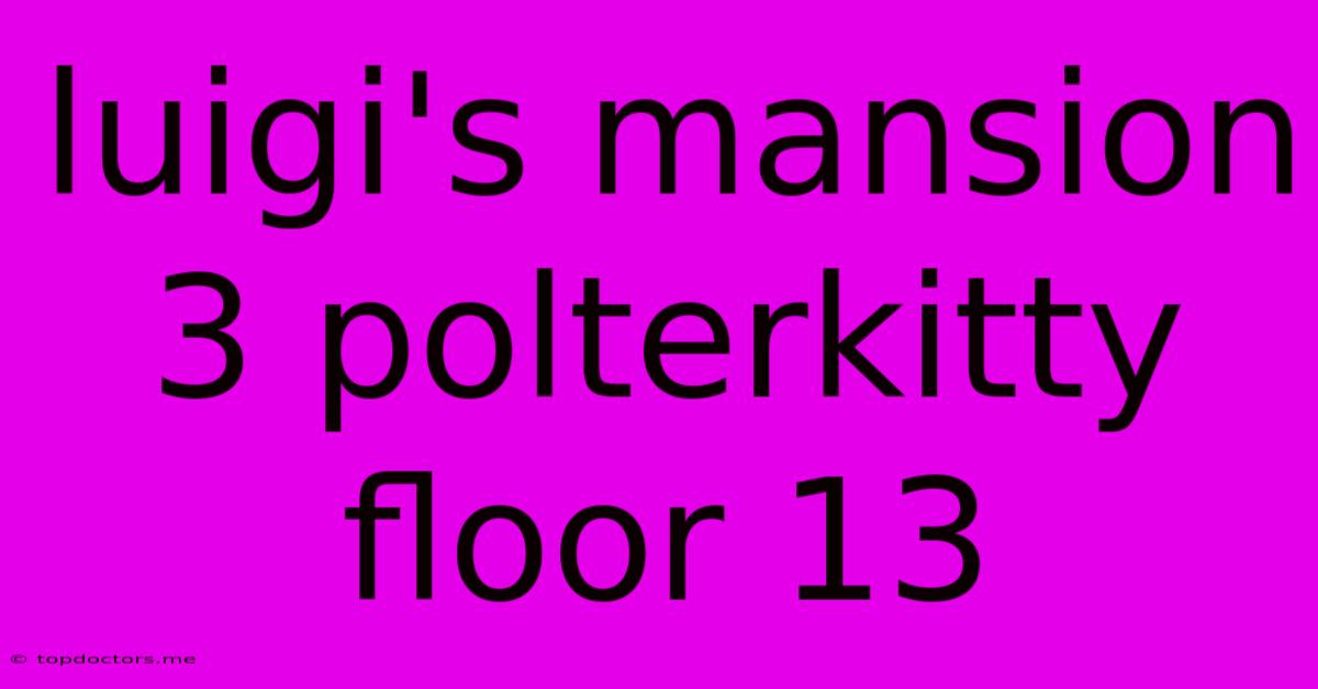 Luigi's Mansion 3 Polterkitty Floor 13