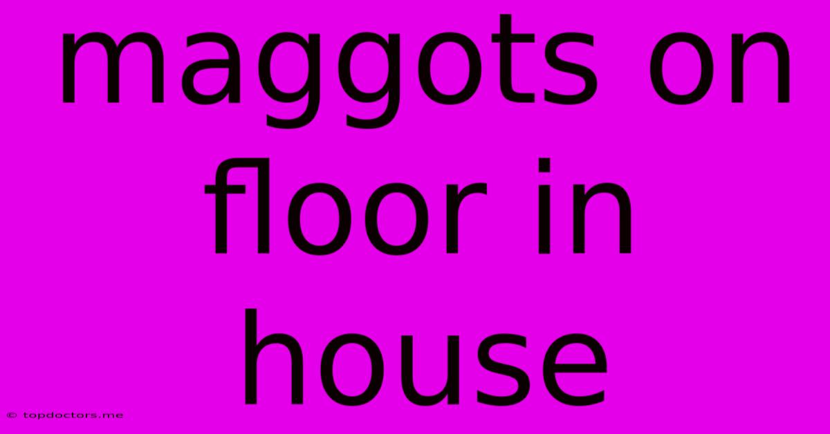 Maggots On Floor In House Maggots On Floor In House