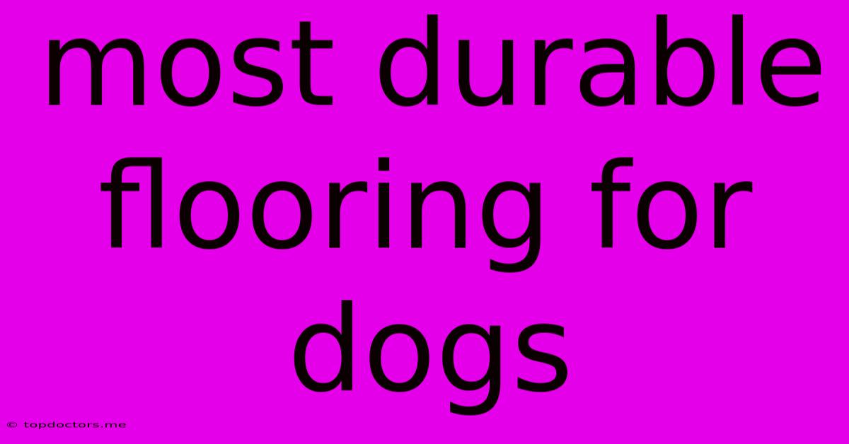 Most Durable Flooring For Dogs Most Durable Flooring For Dogs