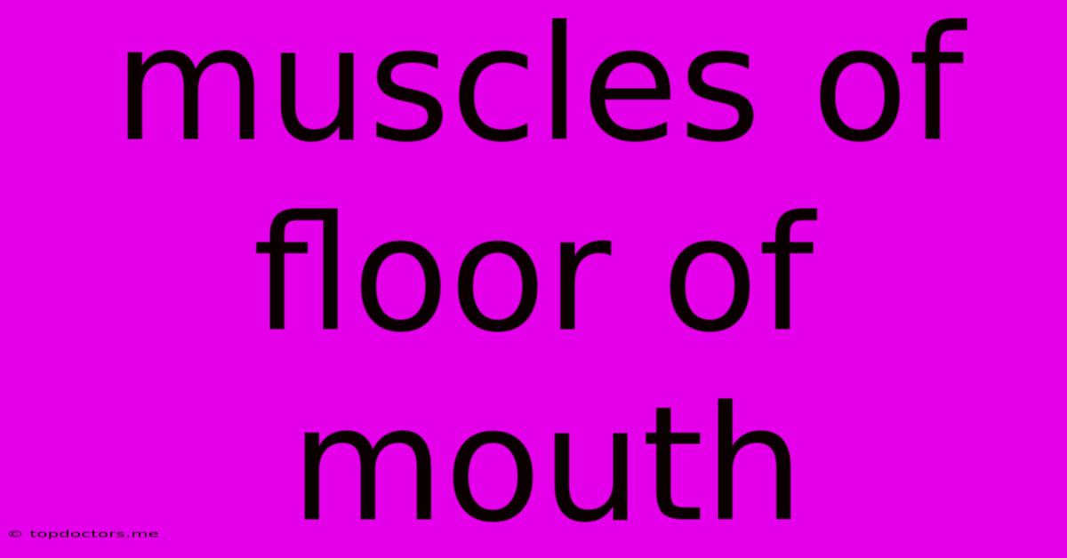 Muscles Of Floor Of Mouth Muscles Of Floor Of Mouth