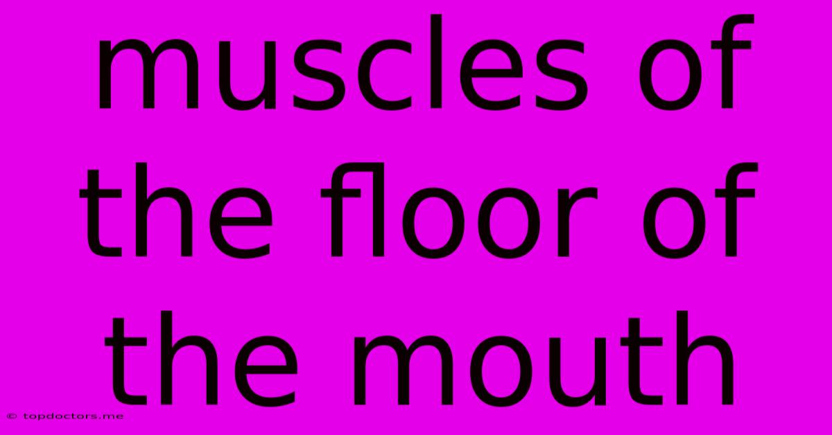 Muscles Of The Floor Of The Mouth