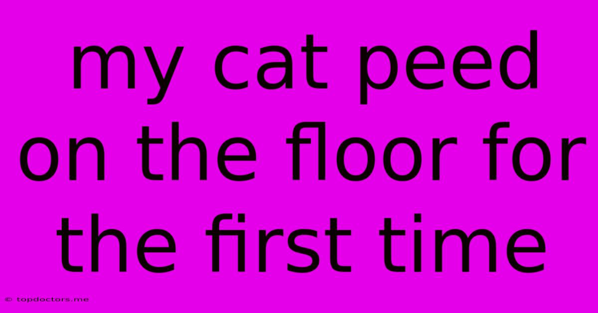 My Cat Peed On The Floor For The First Time My Cat Peed On The Floor For The First Time