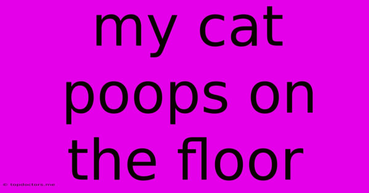 My Cat Poops On The Floor
