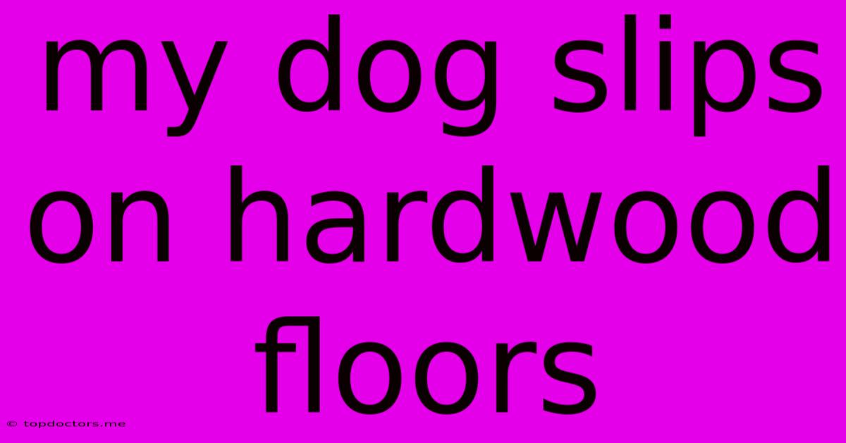 My Dog Slips On Hardwood Floors My Dog Slips On Hardwood Floors