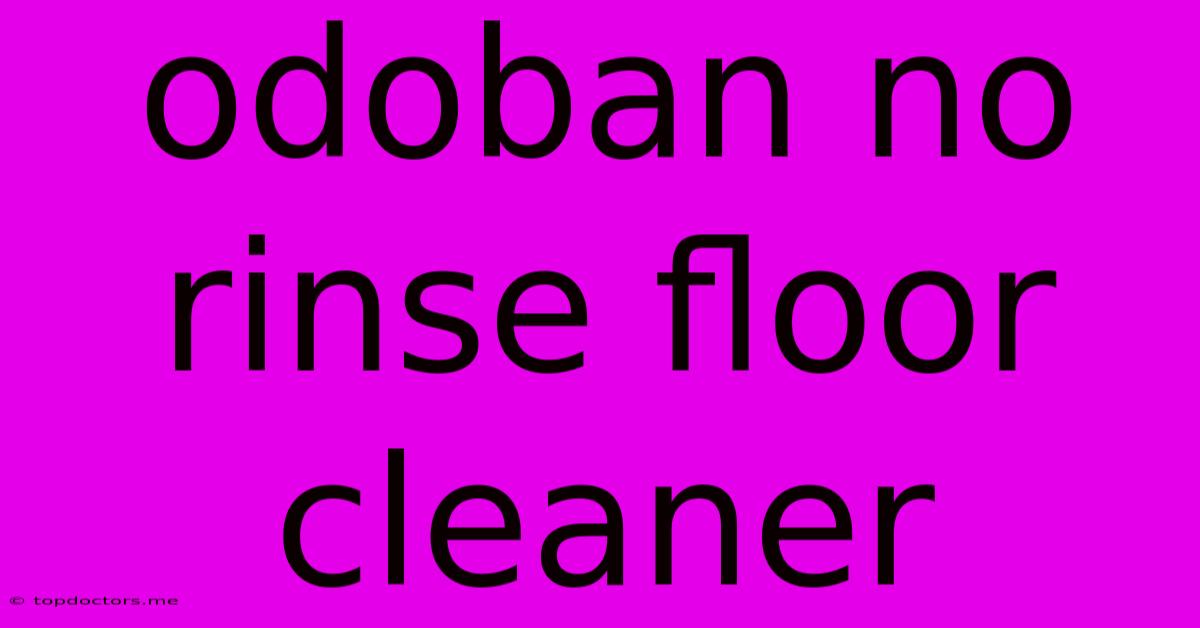 Odoban No Rinse Floor Cleaner Odoban No Rinse Floor Cleaner