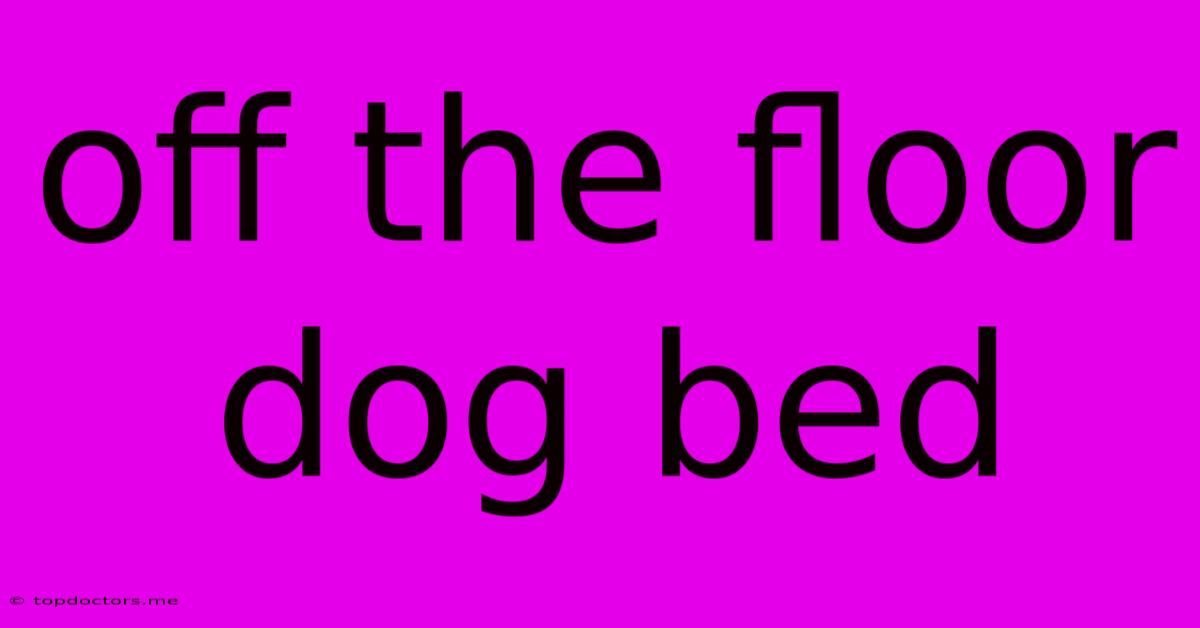 Off The Floor Dog Bed