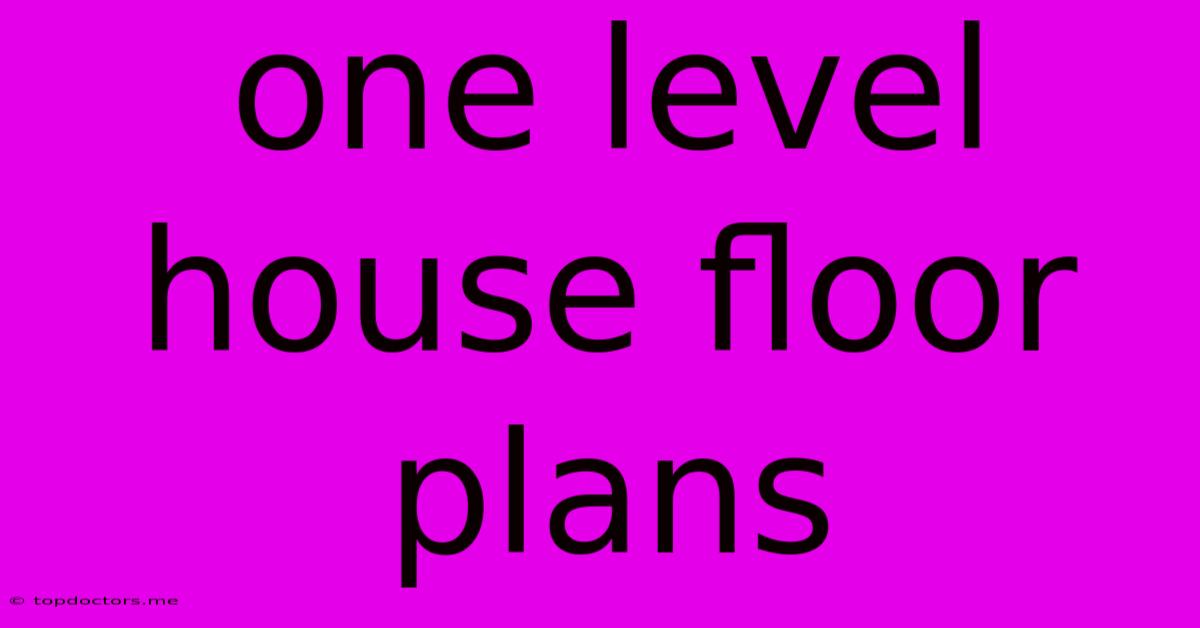 One Level House Floor Plans One Level House Floor Plans