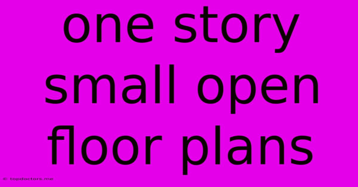 One Story Small Open Floor Plans One Story Small Open Floor Plans