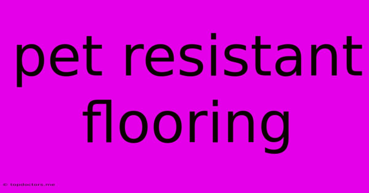 Pet Resistant Flooring Pet Resistant Flooring