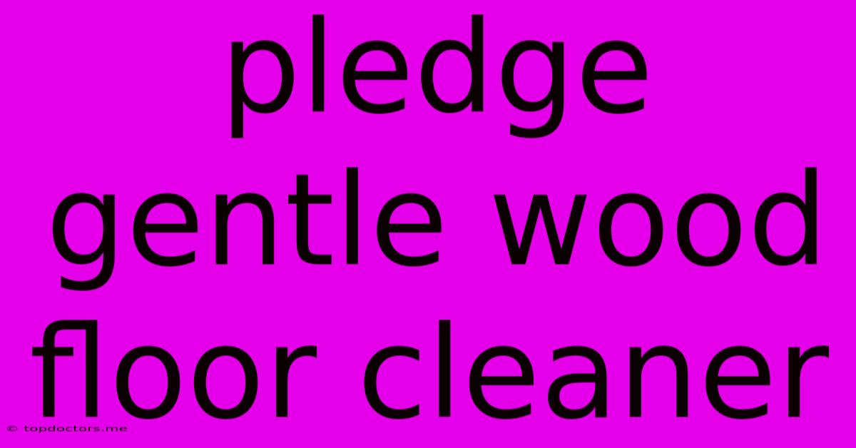 Pledge Gentle Wood Floor Cleaner Pledge Gentle Wood Floor Cleaner