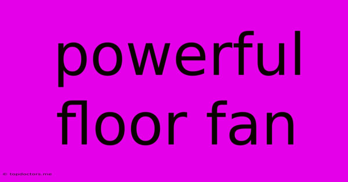 Powerful Floor Fan Powerful Floor Fan