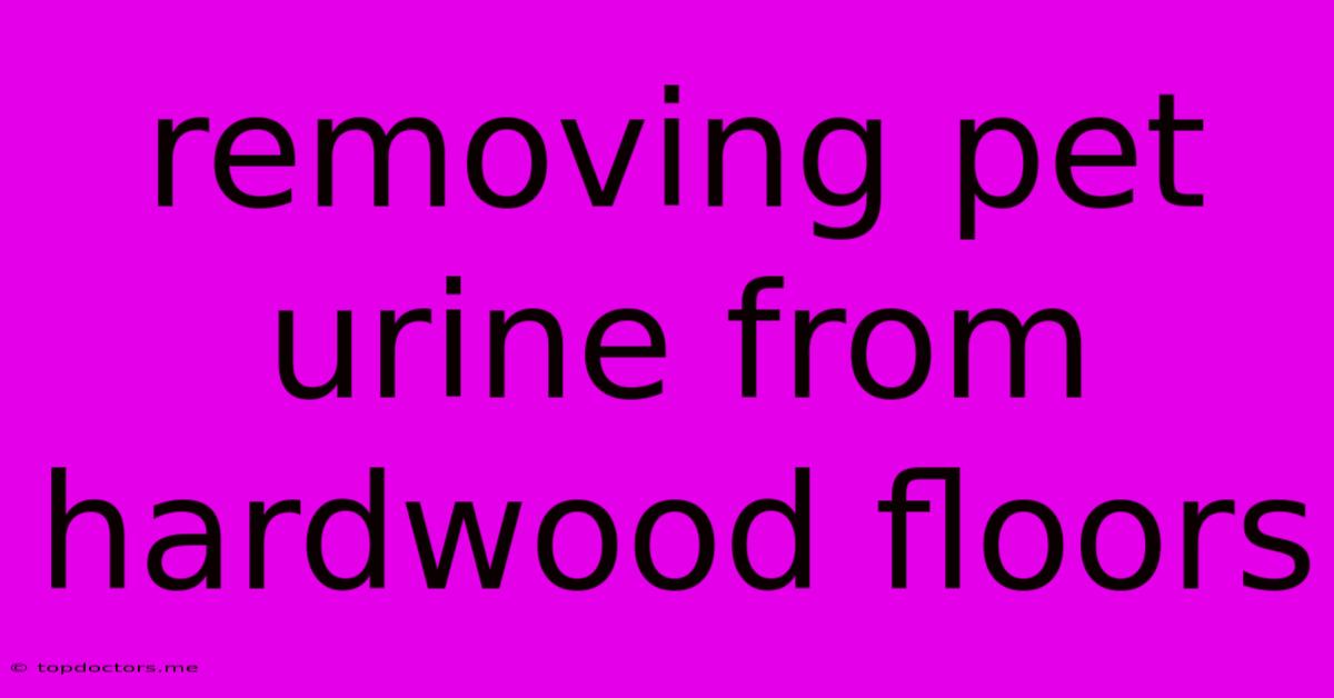 Removing Pet Urine From Hardwood Floors Removing Pet Urine From Hardwood Floors