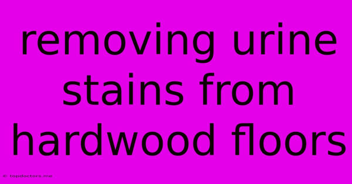 Removing Urine Stains From Hardwood Floors