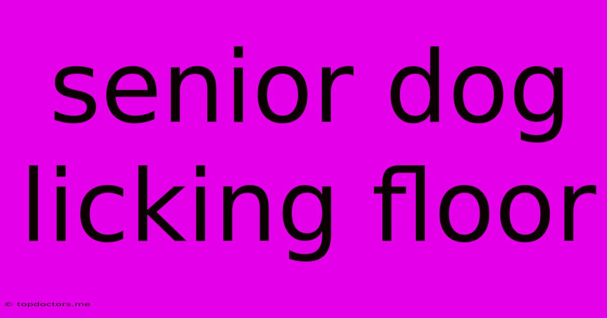 Senior Dog Licking Floor Senior Dog Licking Floor