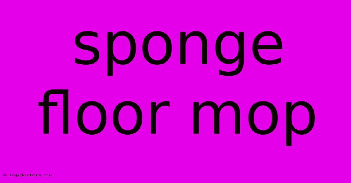 Sponge Floor Mop