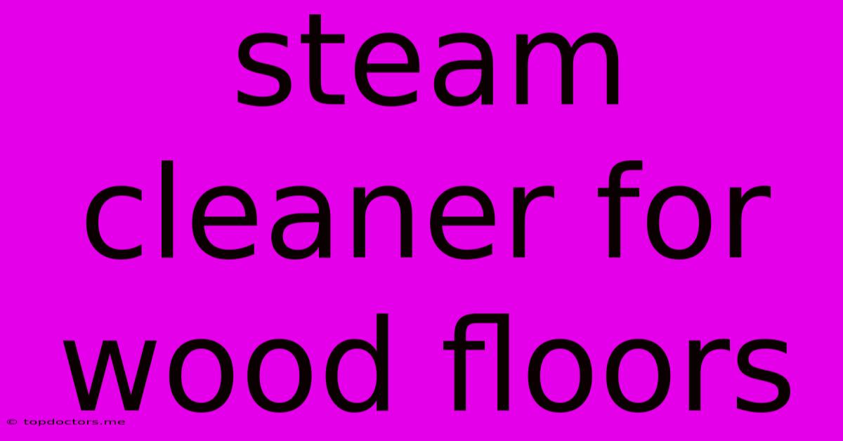 Steam Cleaner For Wood Floors