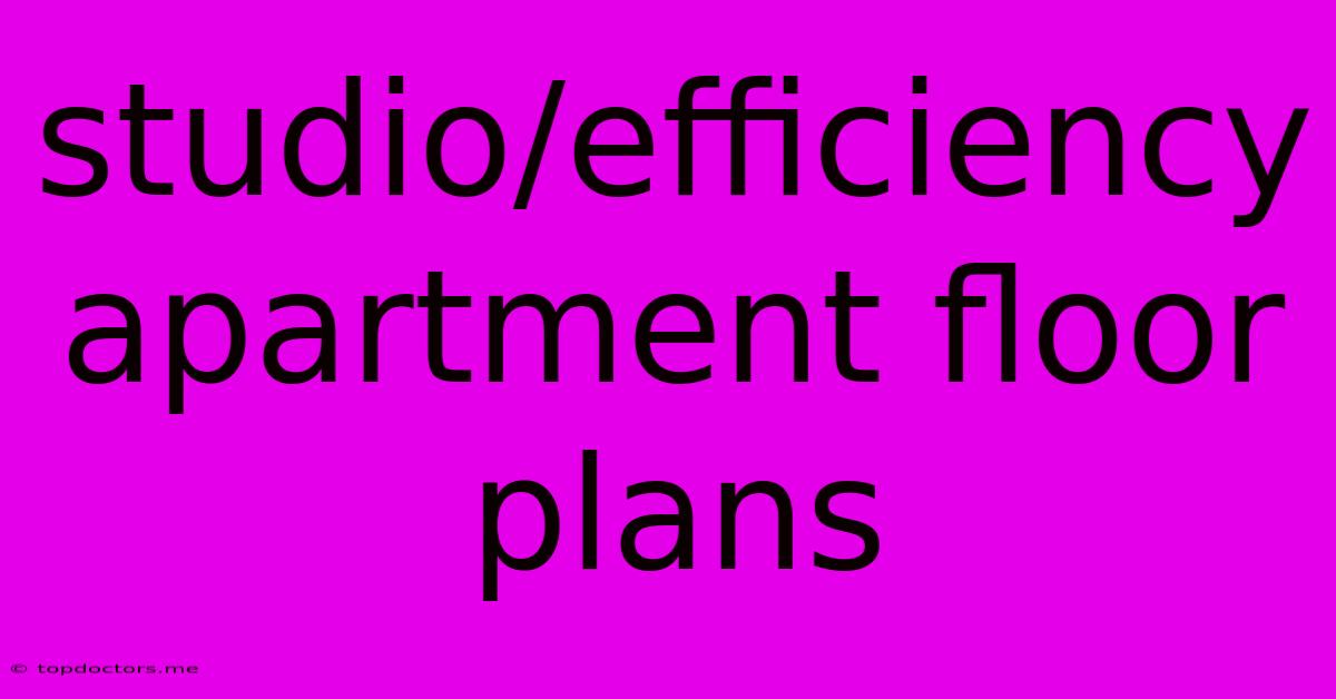 Studio/efficiency Apartment Floor Plans Studio/efficiency Apartment Floor Plans