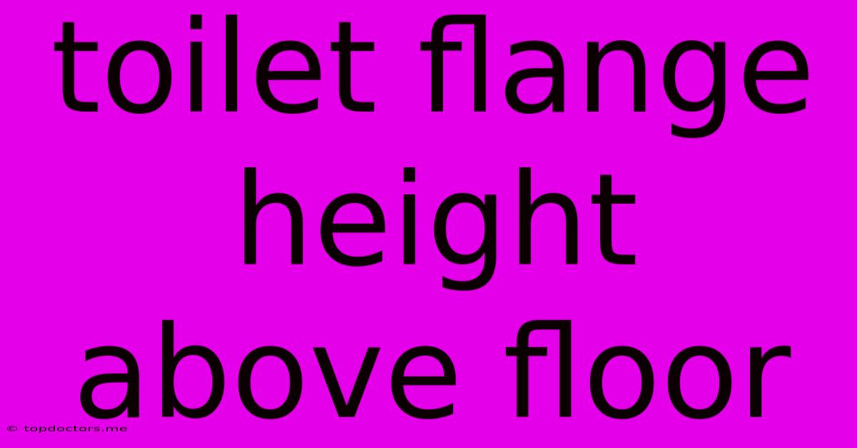 Toilet Flange Height Above Floor Toilet Flange Height Above Floor