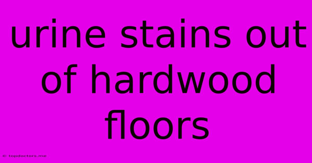 Urine Stains Out Of Hardwood Floors Urine Stains Out Of Hardwood Floors