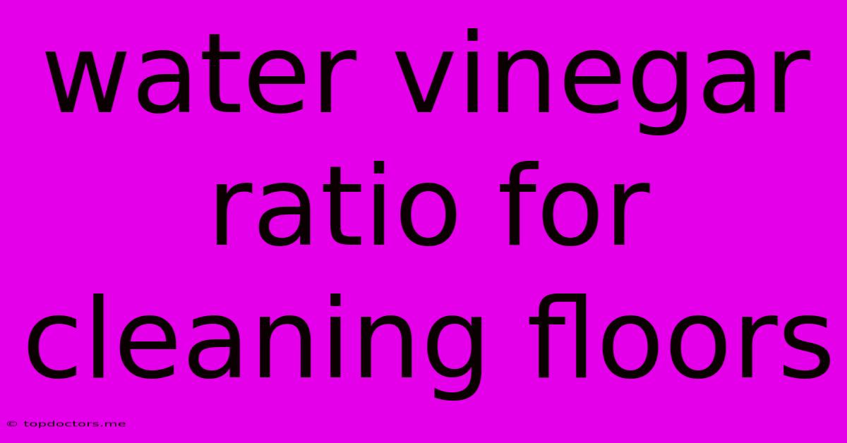 Water Vinegar Ratio For Cleaning Floors Water Vinegar Ratio For Cleaning Floors
