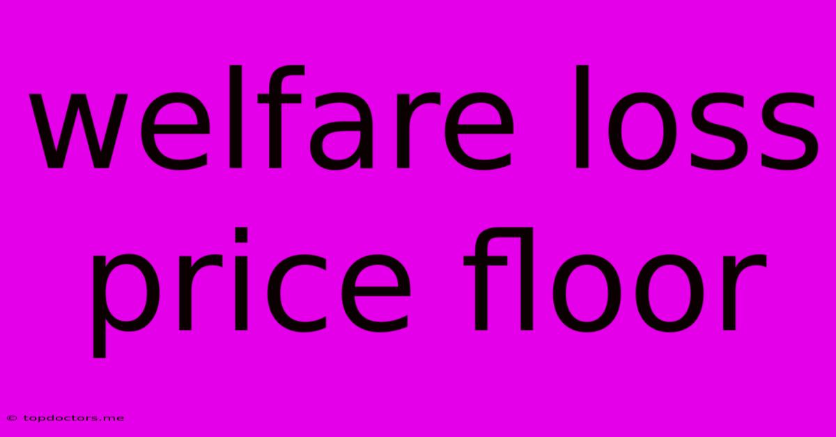 Welfare Loss Price Floor