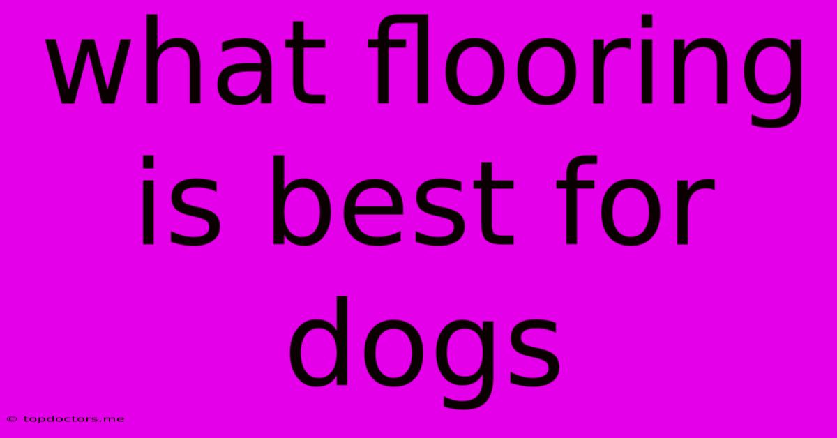 What Flooring Is Best For Dogs What Flooring Is Best For Dogs