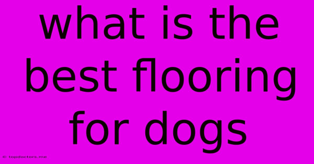 What Is The Best Flooring For Dogs