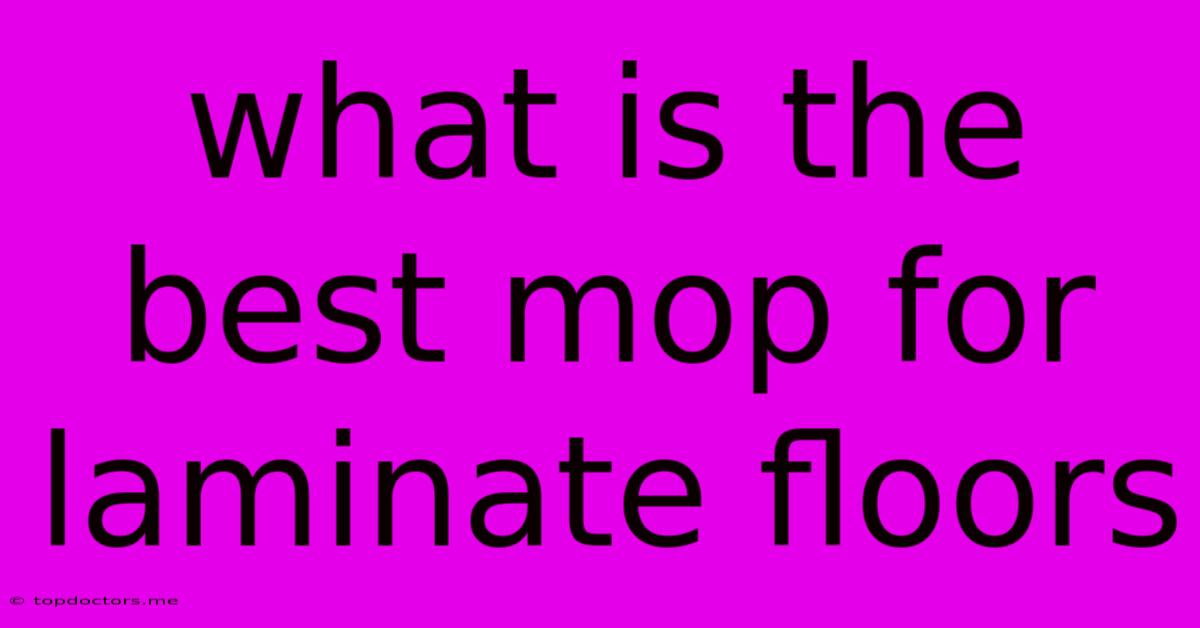 What Is The Best Mop For Laminate Floors What Is The Best Mop For Laminate Floors