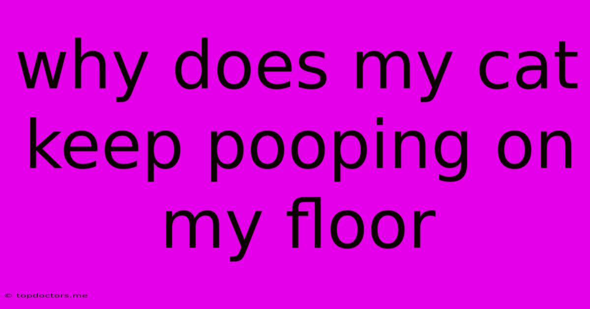 Why Does My Cat Keep Pooping On My Floor