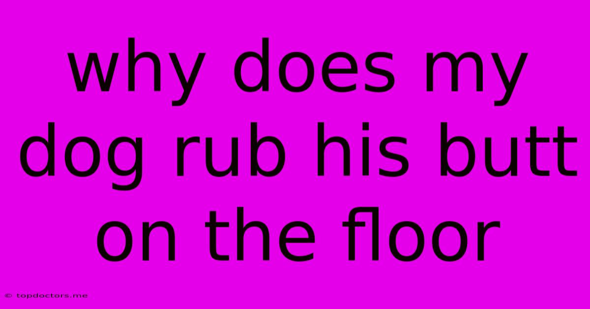 Why Does My Dog Rub His Butt On The Floor