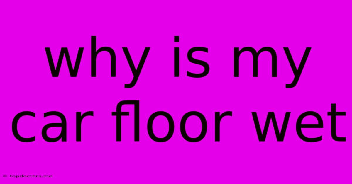 Why Is My Car Floor Wet Why Is My Car Floor Wet