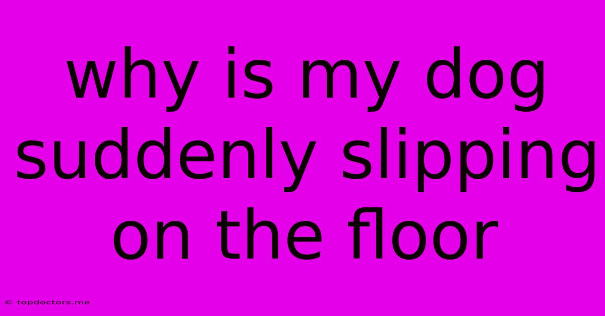 Why Is My Dog Suddenly Slipping On The Floor