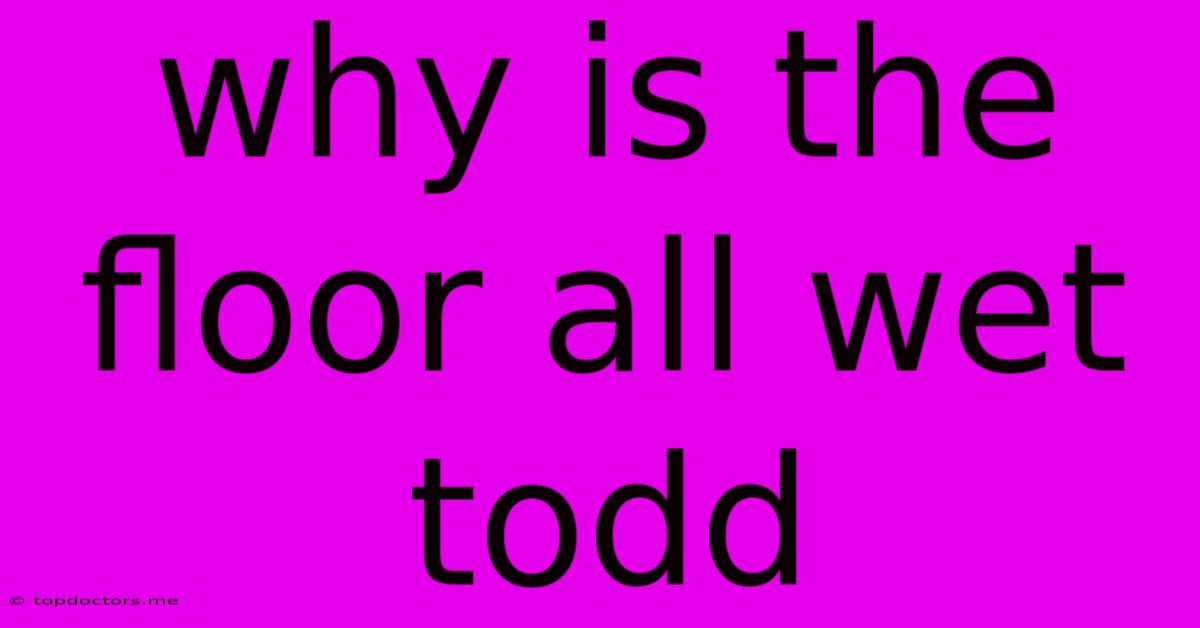 Why Is The Floor All Wet Todd