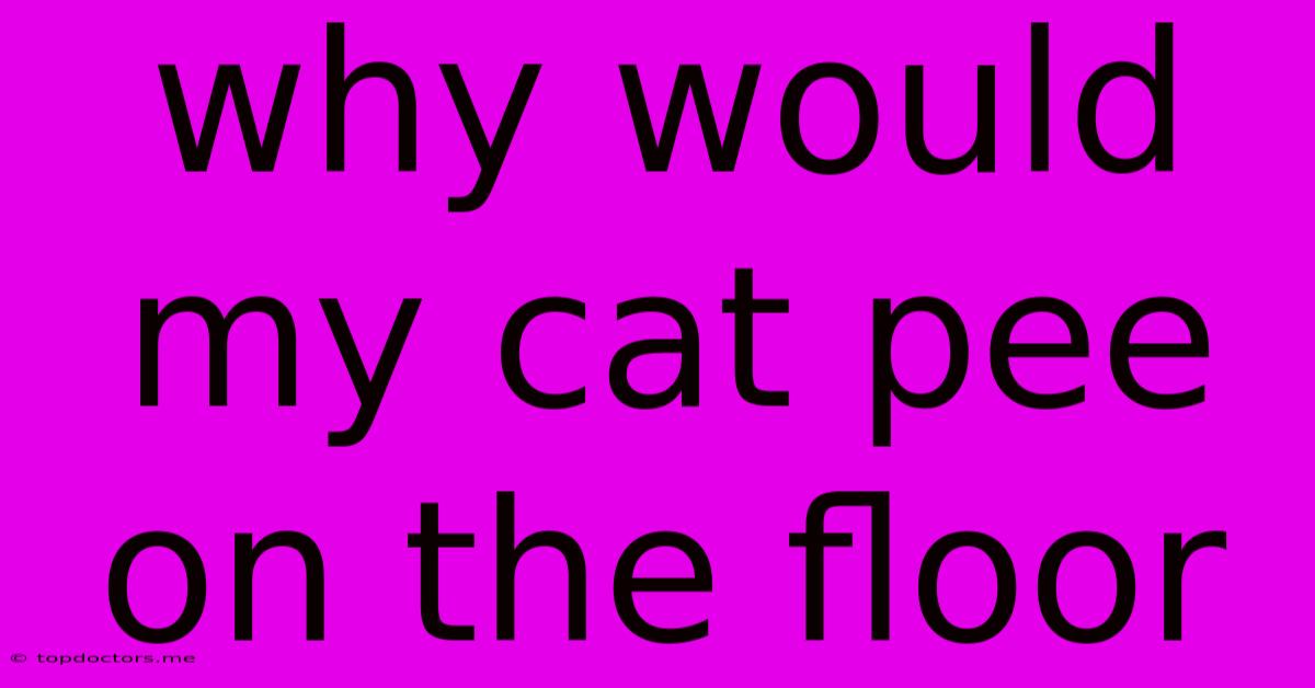 Why Would My Cat Pee On The Floor