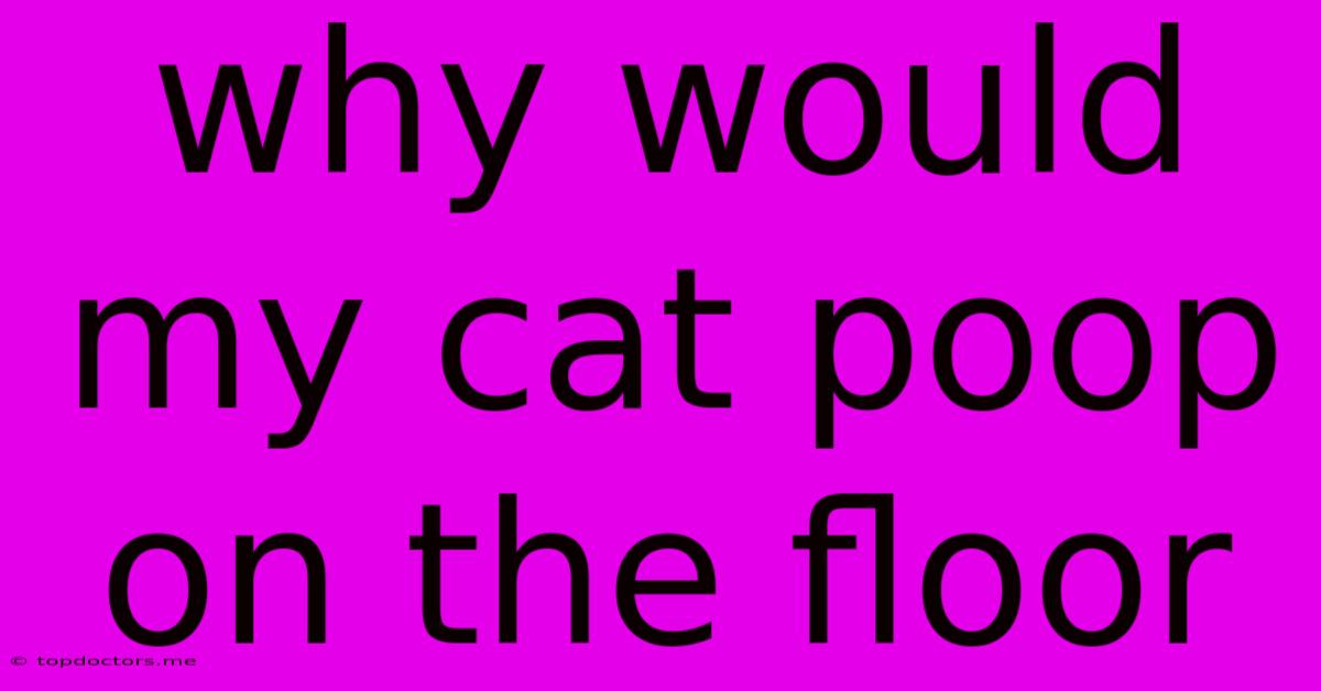 Why Would My Cat Poop On The Floor