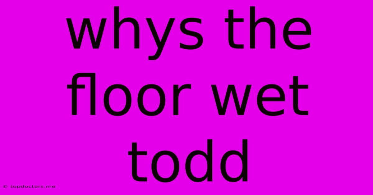 Whys The Floor Wet Todd Whys The Floor Wet Todd